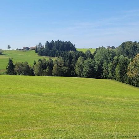 Ferienwohnung Anna Altreichenau Neureichenau Exterior foto
